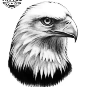 tatouage-ephemere-tete-aigle-autocollant-temporaire-realiste