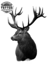 tatouage-ephemere-tete-de-cerf-design-naturel tatouage-ephemere-tete-de-cerf-design-naturel