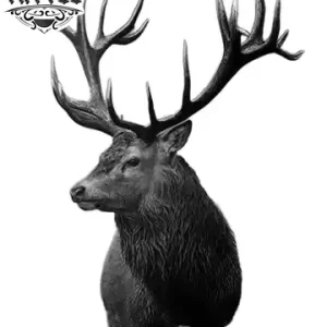 tatouage-ephemere-tete-de-cerf-design-naturel tatouage-ephemere-tete-de-cerf-design-naturel