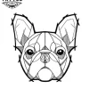 tatouage-ephemere-tete-chien-realiste-pour-passionnes-tatouage-chien tatouage-ephemere-tete-chien-realiste-pour-passionnes-tatouage-chien