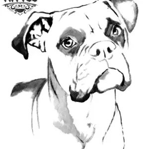 tatouage CHIEN éphémère tête de boxer réaliste tatouage CHIEN éphémère tête de boxer réaliste