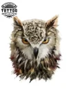 tatouage-ephemere-tete-de-hiboux-design-animal-temporaire tatouage-ephemere-tete-de-hiboux-design-animal-temporaire