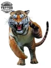 tatouage-ephemere-tigre-agressif-temporary-tattoo-art tatouage-ephemere-tigre-agressif-temporary-tattoo-art