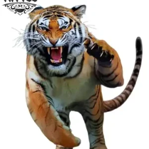 tatouage-ephemere-tigre-agressif-temporary-tattoo-art tatouage-ephemere-tigre-agressif-temporary-tattoo-art