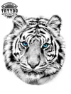 tatouage-tigre-blanc-ephemere-yeux-bleus tatouage-tigre-blanc-ephemere-yeux-bleus