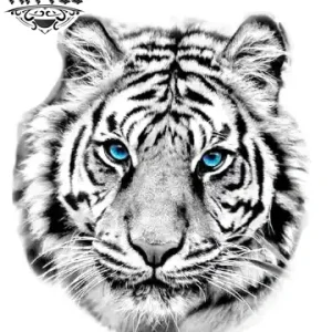 tatouage-tigre-blanc-ephemere-yeux-bleus tatouage-tigre-blanc-ephemere-yeux-bleus