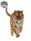 tatouage-tigre-ephemere-design-animal-sauvage-entier-temporary-tattoo