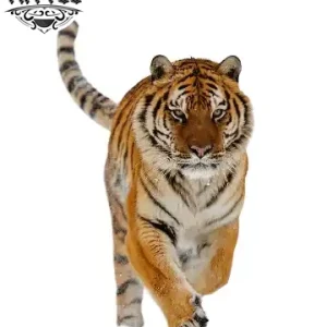 tatouage-tigre-ephemere-design-animal-sauvage-entier-temporary-tattoo tatouage-tigre-ephemere-design-animal-sauvage-entier-temporary-tattoo