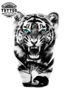 tatouage-tigre-ephemere-jungle-sauvage-realiste tatouage-tigre-ephemere-jungle-sauvage-realiste