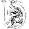 tatouage ephemere tigre traditionnel design authentique image produit tatouage ephemere tigre traditionnel design authentique image produit