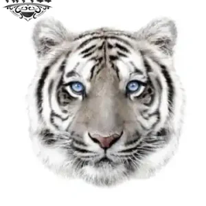 tatouage-tigre-yeux-bleus-longue-duree tatouage-tigre-yeux-bleus-longue-duree