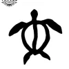 tatouage-ephemere-tortue-facile-rapide-appliquer tatouage-ephemere-tortue-facile-rapide-appliquer