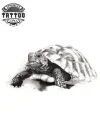 Image tatouage TORTUE éphémère Hermann design original