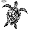 tatouage ephemere tortue maorie femme design tribal unique tatouage ephemere tortue maorie femme design tribal unique