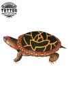 tatouage-ephemere-tortue-old-school-design-amateurs-tatouages-temporaires tatouage-ephemere-tortue-old-school-design-amateurs-tatouages-temporaires
