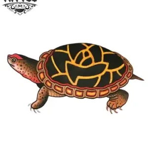tatouage-ephemere-tortue-old-school-design-amateurs-tatouages-temporaires tatouage-ephemere-tortue-old-school-design-amateurs-tatouages-temporaires