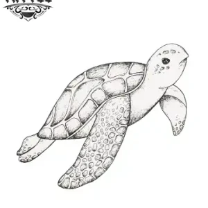 tatouage ephemere tortue petit format durable facile à poser tatouage ephemere tortue petit format durable facile à poser