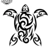 tatouage-ephemere-tortue-tribal-design-oceanique tatouage-ephemere-tortue-tribal-design-oceanique