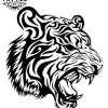 tatouage ephemere tribal tigre design audacieux