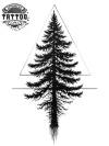 tatouage ARBRE éphémère sapin design nature durable