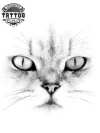 tatouage-ephemere-yeux-de-chat-design-felin-temporaire tatouage-ephemere-yeux-de-chat-design-felin-temporaire