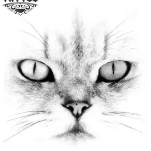 tatouage-ephemere-yeux-de-chat-design-felin-temporaire tatouage-ephemere-yeux-de-chat-design-felin-temporaire