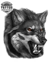 tatouage-ephemere-yeux-de-loup-mystique-temporary-tattoo