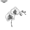 mini-tatouage-temporaire-fleur-exotique-raffiné-et-sobre