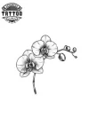 mini-tatouage-temporaire-fleur-exotique-raffiné-et-sobre