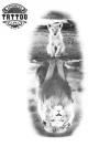 tatouage-ephemere-lion-reflet-temporaire-durable-image tatouage-ephemere-lion-reflet-temporaire-durable-image