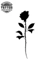 miniature-encre-temporaire-rose-noire-sobre-et-chic miniature-encre-temporaire-rose-noire-sobre-et-chic