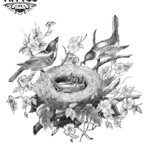 tatouage-temporaire-oiseau-nid-ephemere-naturel-illustration tatouage-temporaire-oiseau-nid-ephemere-naturel-illustration