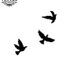 minuscule-impression-temporaire-volatile-oiseau-en-plein-envol