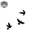 minuscule-impression-temporaire-volatile-oiseau-en-plein-envol