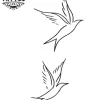 tatouage-ephemere-oiseau-double-design-oiseau-tatouage-ephemere tatouage-ephemere-oiseau-double-design-oiseau-tatouage-ephemere
