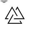 tatouage-temporaire-minuscule-viking-nordique tatouage-temporaire-minuscule-viking-nordique