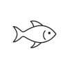 Tatouage Poisson Minimaliste Épuré