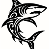 Tatouage Requin Majestueux Tribal tatouage-requin-majestueux-tribal