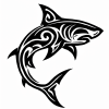 Tatouage requin tribal élégant tatouage-requin-tribal-élégant