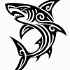 Tatouage Requin Tribal Fluide Tatouage Requin Tribal Fluide