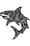 Tatouage Requin Tribal Précis Tatouage Requin Tribal Précis