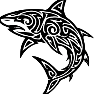 Tatouage Requin Tribal Précis Tatouage Requin Tribal Précis