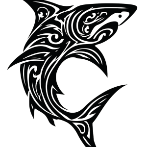Tatouage Requin Tribal Puissant tatouage-requin-tribal-puissant