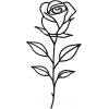 Tatouage Rose Fine sur Fond Blanc Tatouage Rose Fine sur Fond Blanc