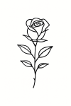 Tatouage Rose Fine sur Fond Blanc Tatouage Rose Fine sur Fond Blanc