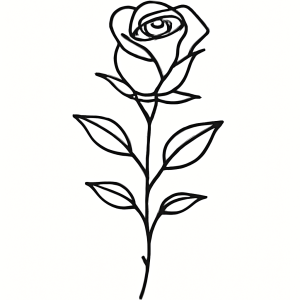 Tatouage Rose Fine sur Fond Blanc Tatouage Rose Fine sur Fond Blanc