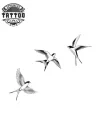 petit-tatouage-temporaire-oiseaux-design-populaire-et-sobre
