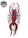 tatouage-pas-permanent-scorpion-pour-jambe-réaliste-et-détaillé tatouage-pas-permanent-scorpion-pour-jambe-réaliste-et-détaillé