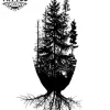 dessin-transitoire-avant-bras-thème-forêt-magique dessin-transitoire-avant-bras-thème-forêt-magique