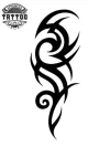 tatouage-temporaire-avant-bras-tribal-etanche tatouage-temporaire-avant-bras-tribal-etanche